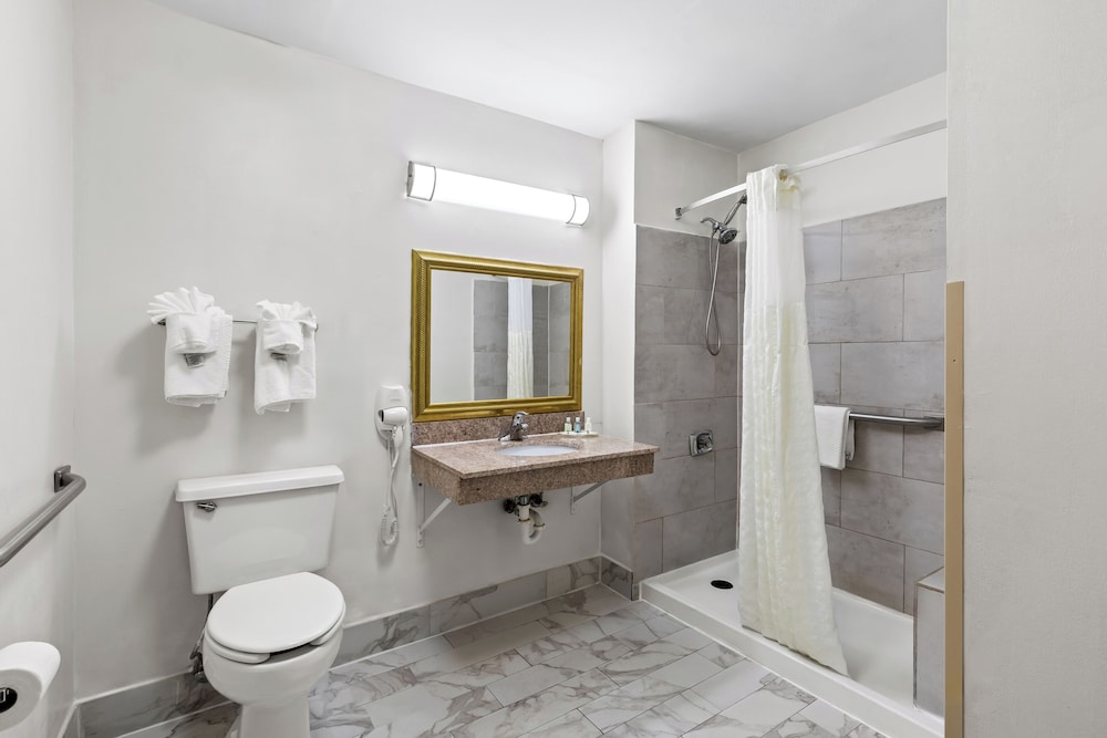 Quality Inn Marietta near Dobbins ARB - photo 31