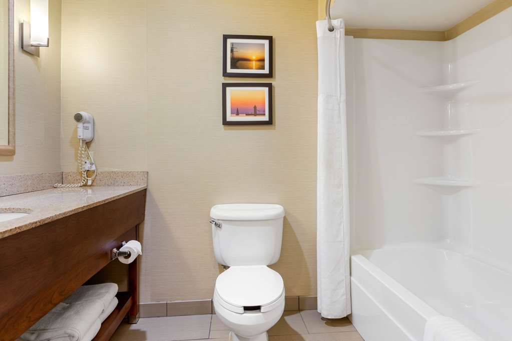 Comfort Suites South Haven near I 96 - photo 15