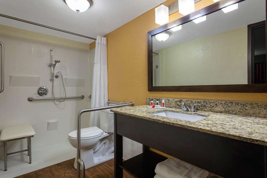 Ramada by Wyndham Tampa Westshore Airport South - photo 23
