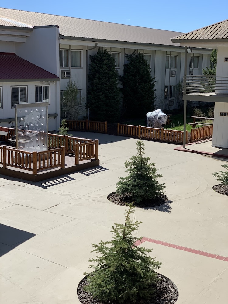 White Buffalo - photo 31