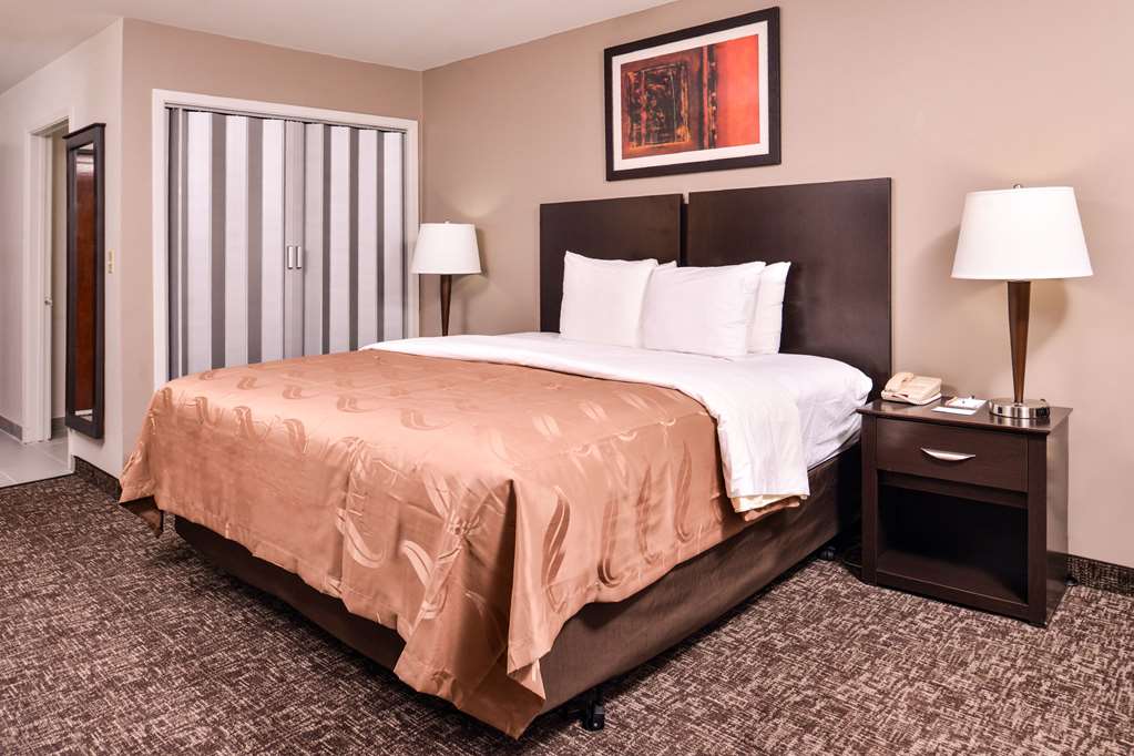Quality Inn & Suites Beaumont - photo 6