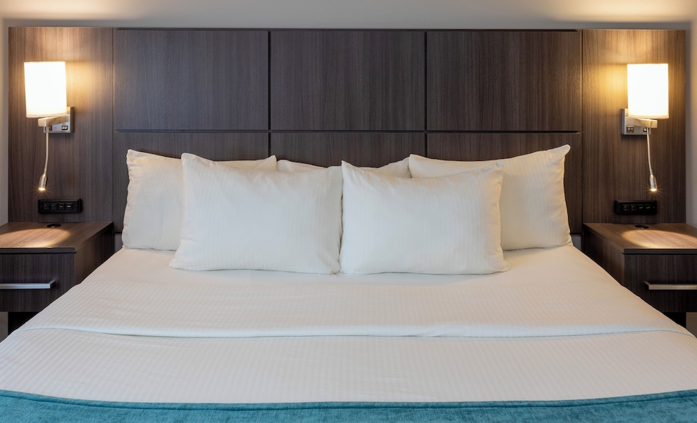 Paynesville Inn And Suites - photo 16