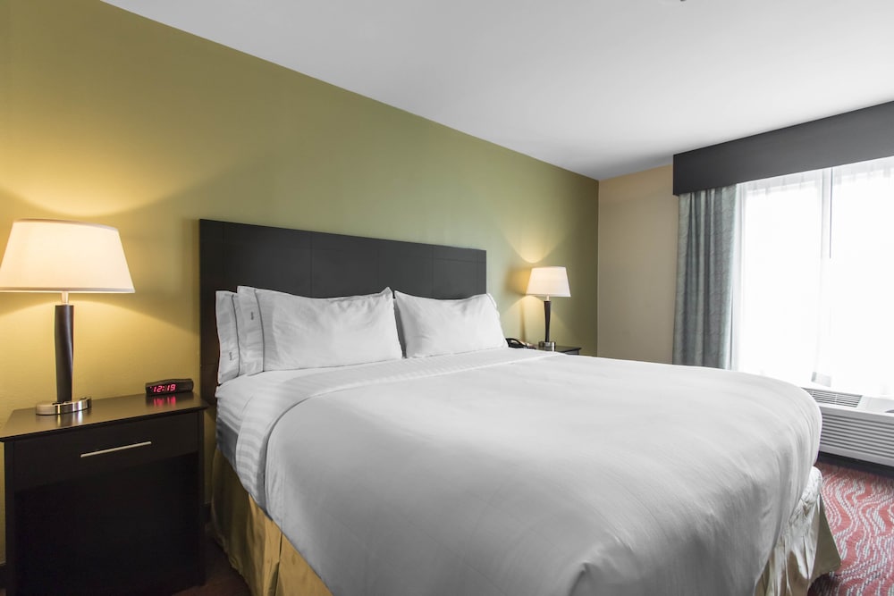 Holiday Inn Express & Suites Cullman - photo 12