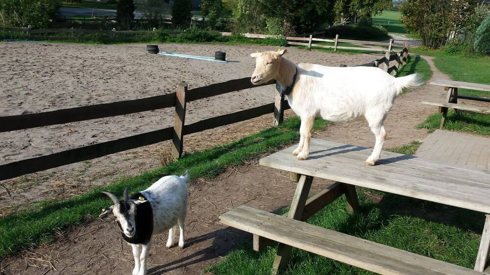 Childrens Activities