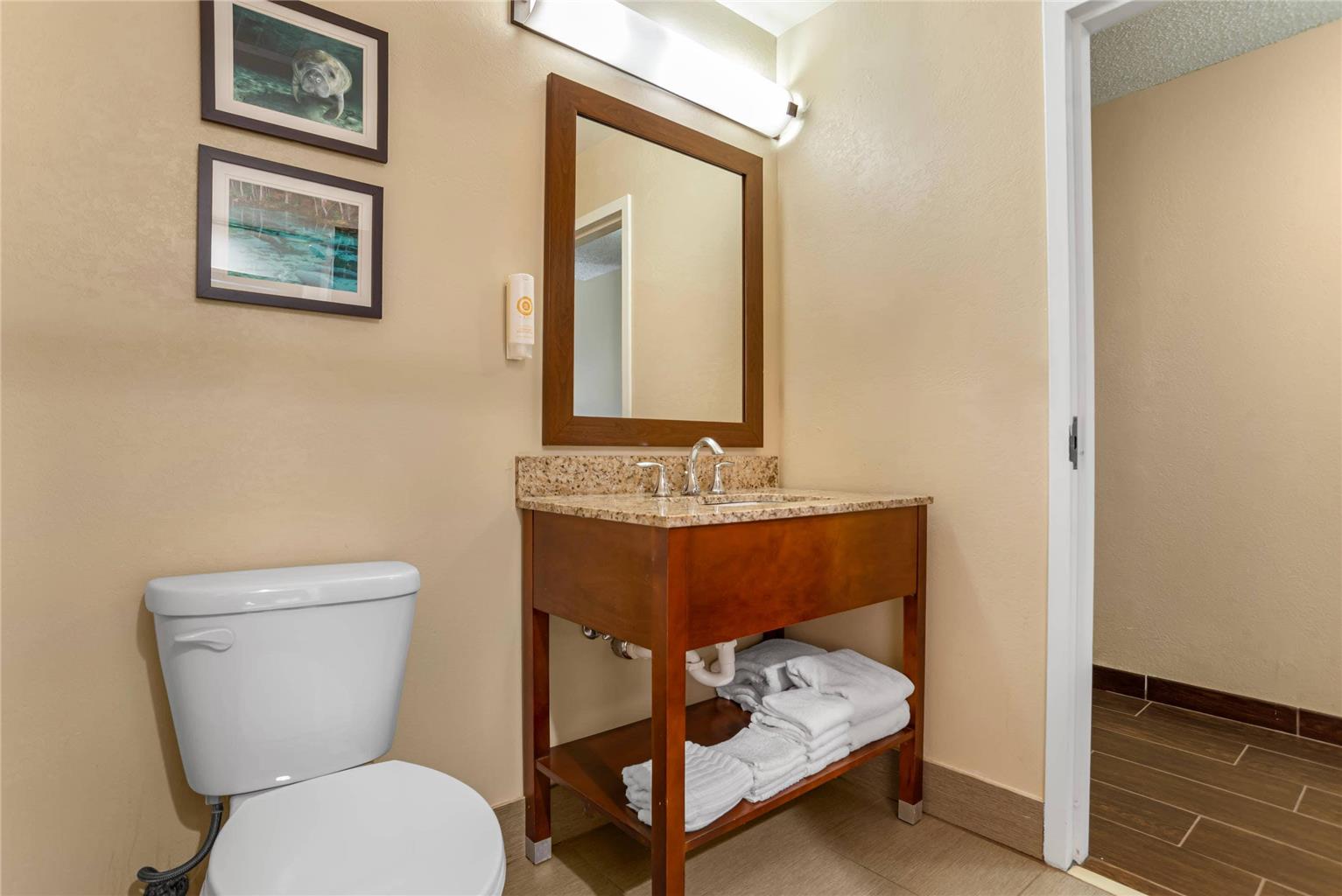 Comfort Suites Tallahassee Capitol University Area - photo 13