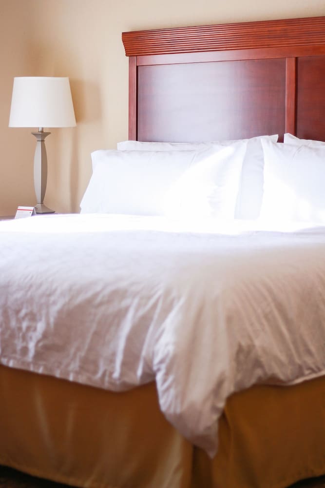 Holiday Inn Express & Suites Center by IHG - photo 6