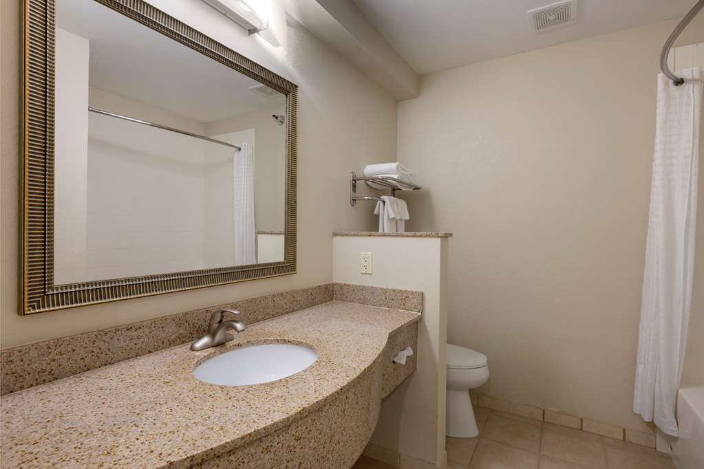 Best Western Plus Omaha Airport Inn - photo 26