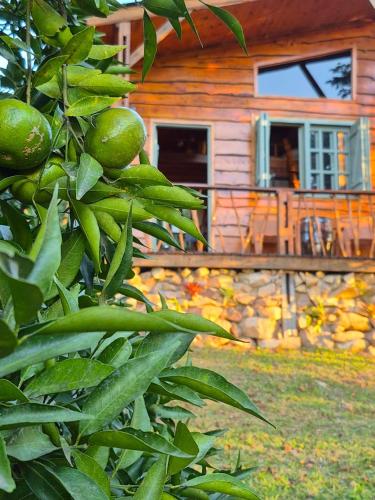 Sítio Espinilho — hotel in Sao Lourenco Do Sul