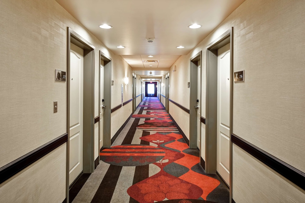 Hampton Inn Middletown - photo 51