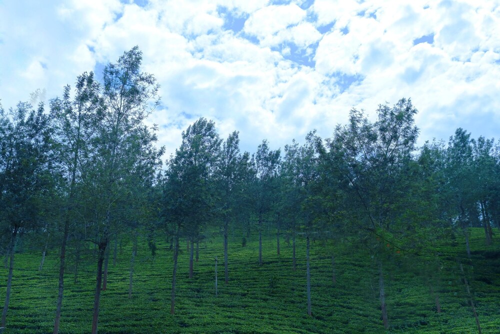 OYO 10840 Hotel Periyar Towers in Erode, India