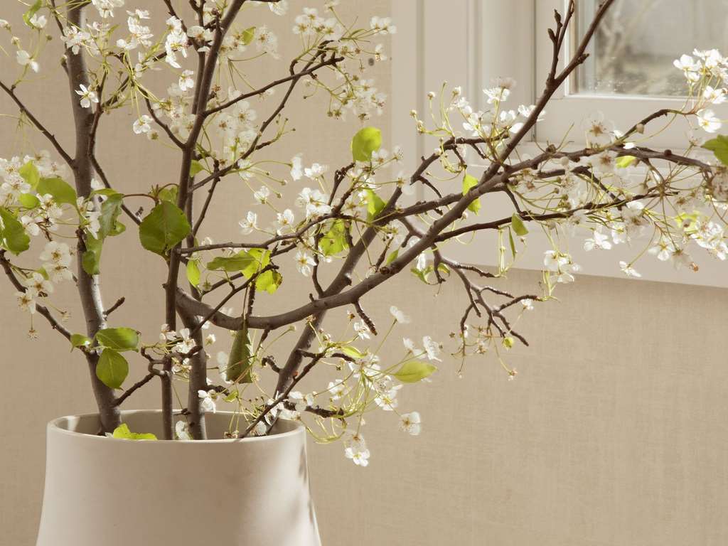 MacArthur Place Hotel & Spa - photo 3