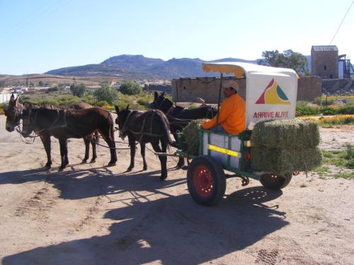 Okiep Country Hotel — hotel in Springbok