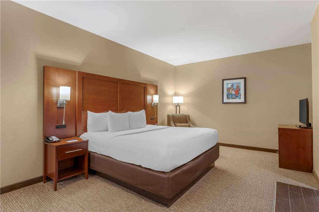Comfort Inn Memphis Downtown - photo 31