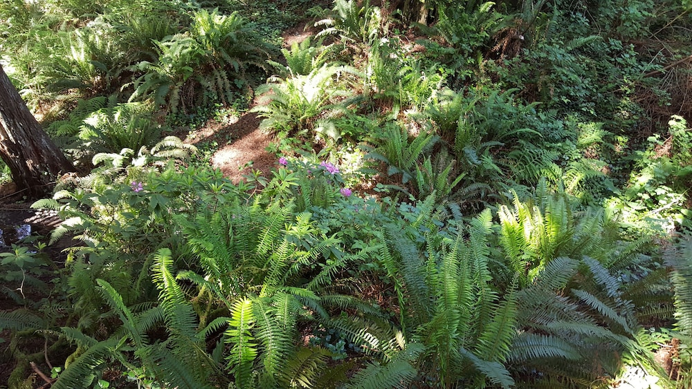 Emerald Forest Cabins - photo 145