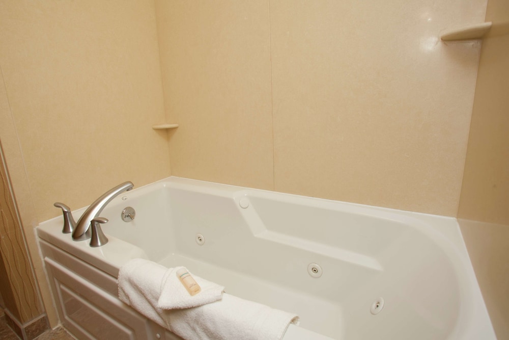 Hampton Inn Elmira Horseheads - photo 41