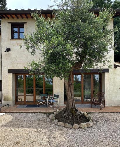 La Tana del Grifo Podere Amodeo in Chiusi, Italy