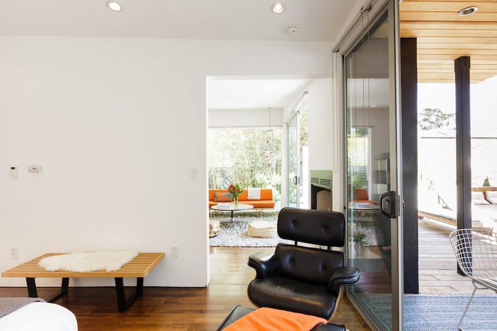 Cactus Flower in Venice, United States