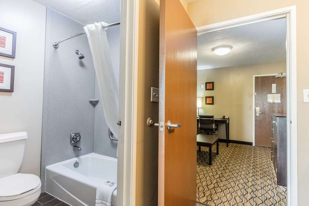 Comfort Inn & Suites Crystal Inn Sportsplex - photo 22