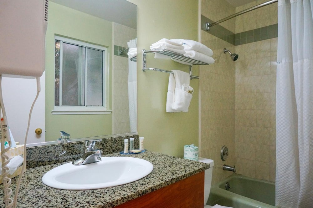 Hotel Parmani - photo 42