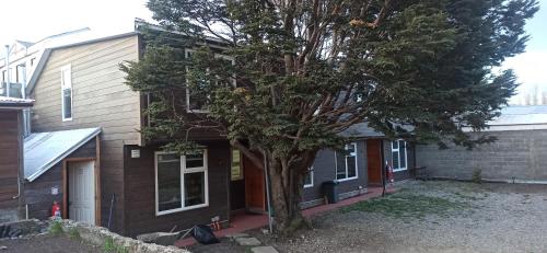 Cabañas Carrera — Punta Arenas — photo 2