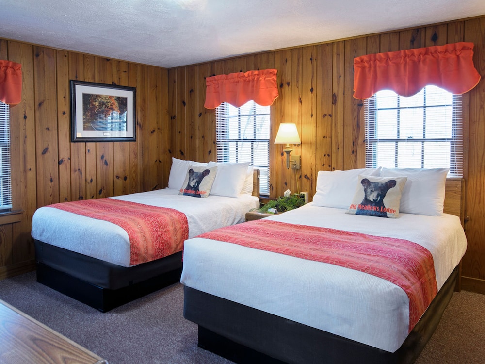 Big Meadows Lodge - photo 12