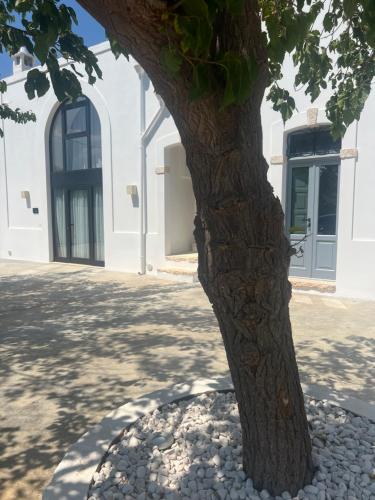 Dimora Nonna Caterina - last minute hotel in Monopoli