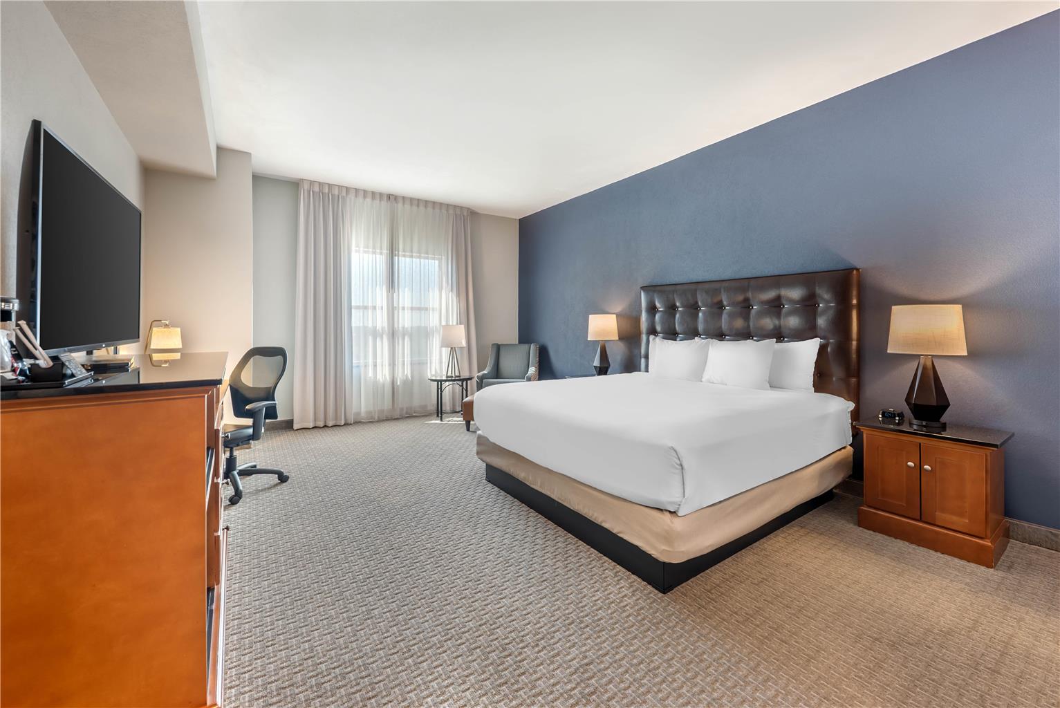 Drury Plaza Hotel San Antonio North Stone Oak - photo 27