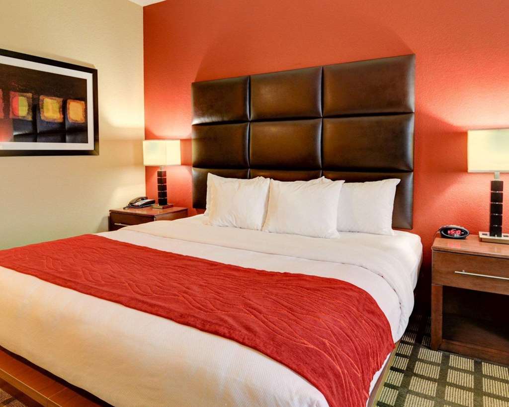 Comfort Inn & Suites Fort Smith I 540 - photo 11