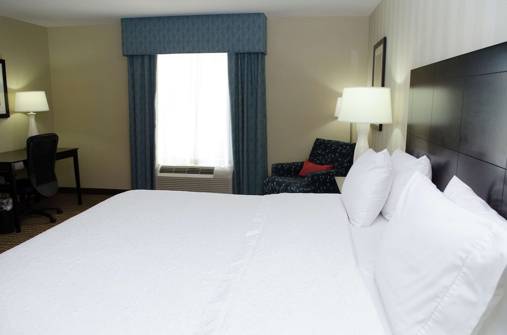 Hampton Inn Thomson - photo 10