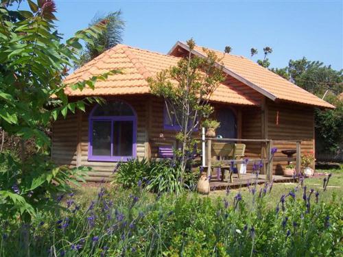 The calm west - last minute hotel in Unknown City