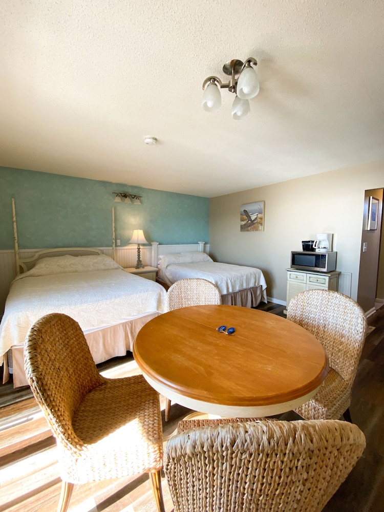 Sea Shell Motel - photo 71