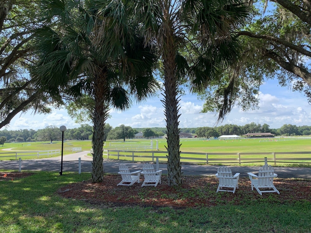 The Grand Oaks Resort - photo 153
