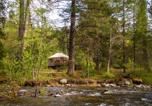 Yosemite Lakes River Yurt 22 - photo 8