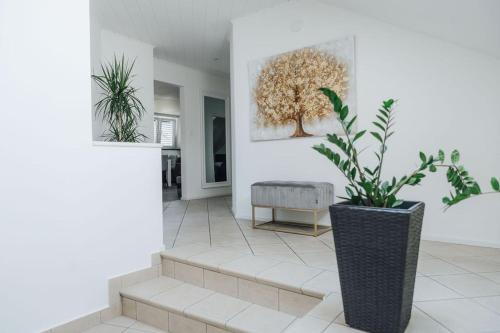 Palace Garden in Ljubljana, Slovenia