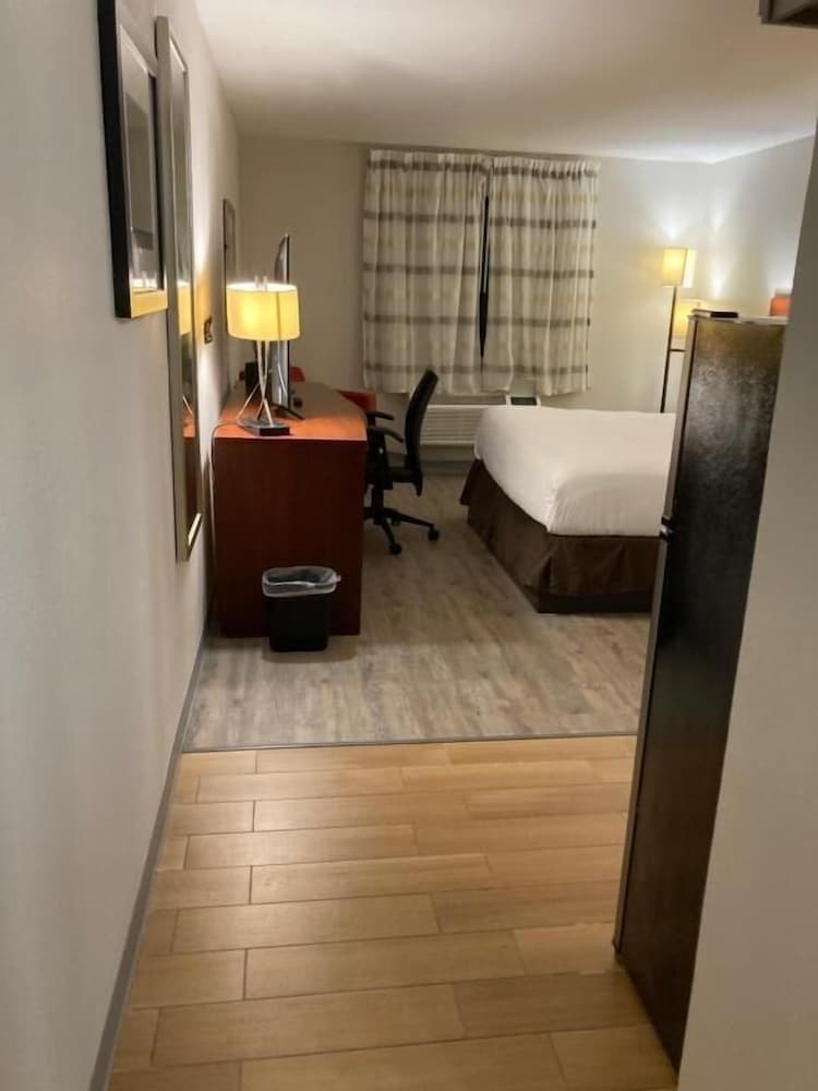 The Hotel Orange - photo 17