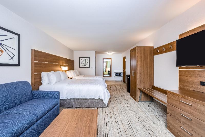 Holiday Inn Express & Suites Elkhart North by IHG - photo 16