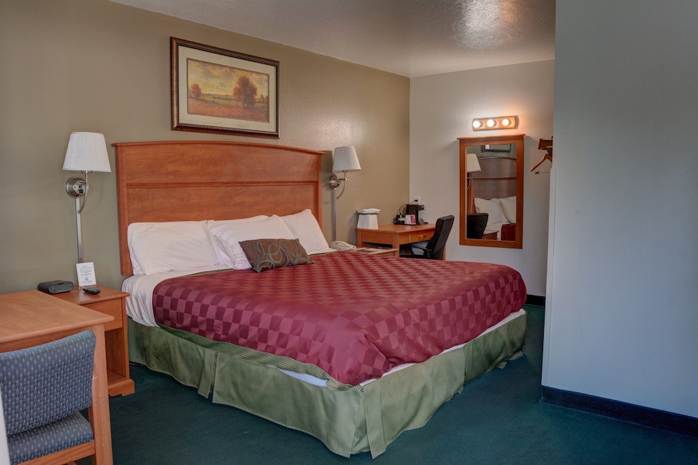 Palms Motel - photo 11