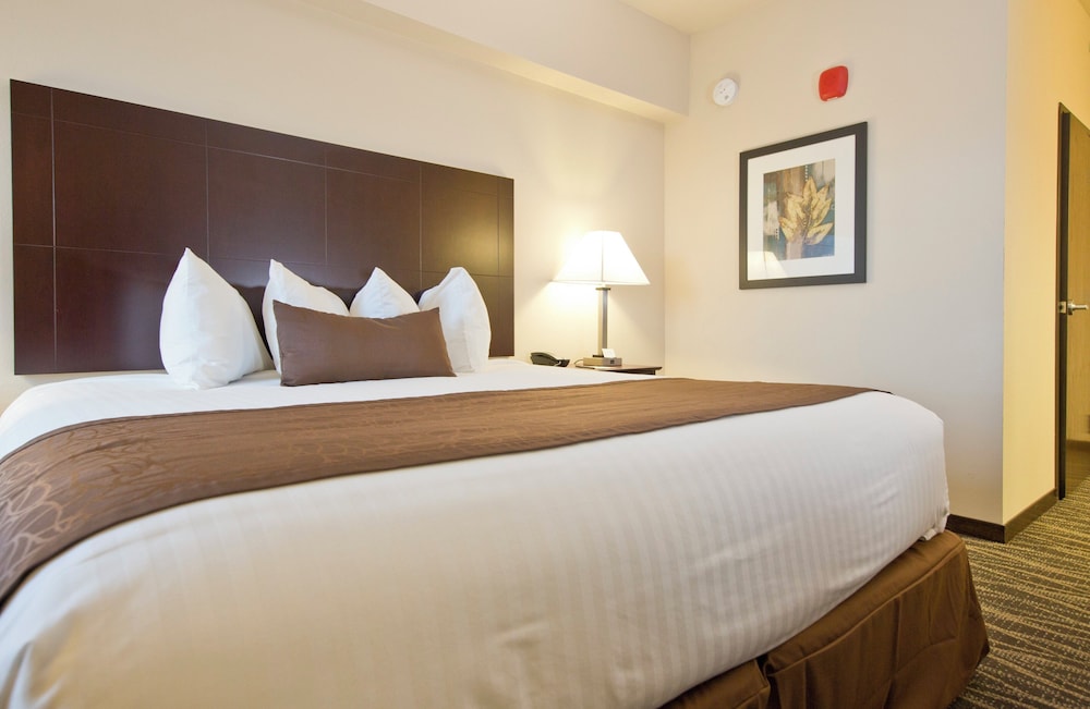 Cobblestone Inn & Suites Boone - photo 24