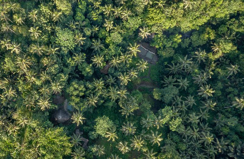 Asep Gumi Retreat in Tabanan, Indonesia