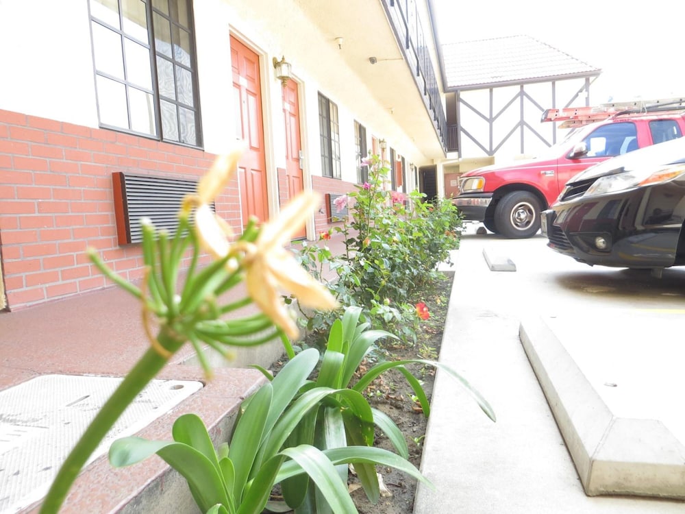 Executive Suites Inn - photo 18