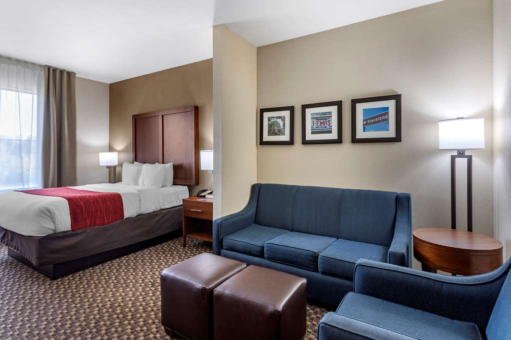 Comfort Inn & Suites Atoka Millington - photo 32