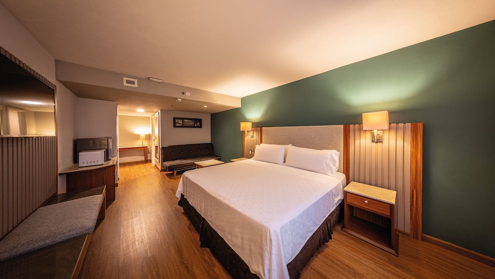 Holiday Inn Orizaba by IHG