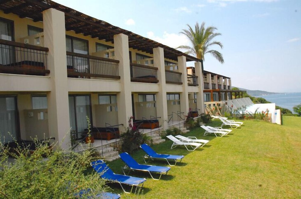 מראה חיצוני