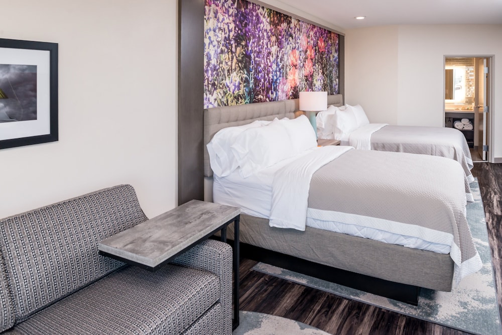 Hotel Indigo Frisco by IHG - photo 21
