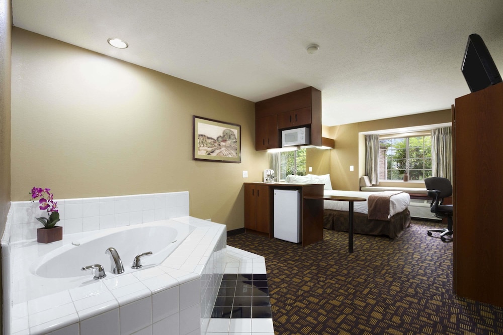Microtel Inn & Suites by Wyndham Lithonia Stone Mountain - photo 29