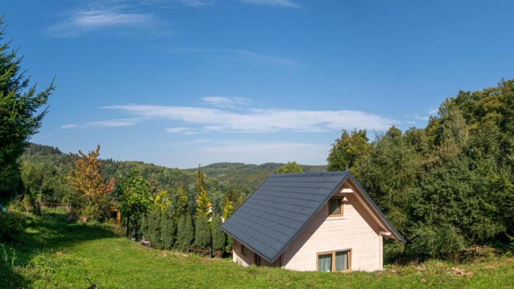 Domek Na Lesnym Wzgorzu — Pieszyce