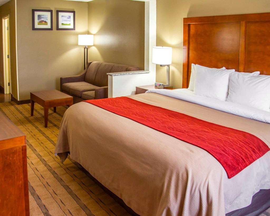 Comfort Inn & Suites Coralville Iowa City near Iowa River Landing - photo 29