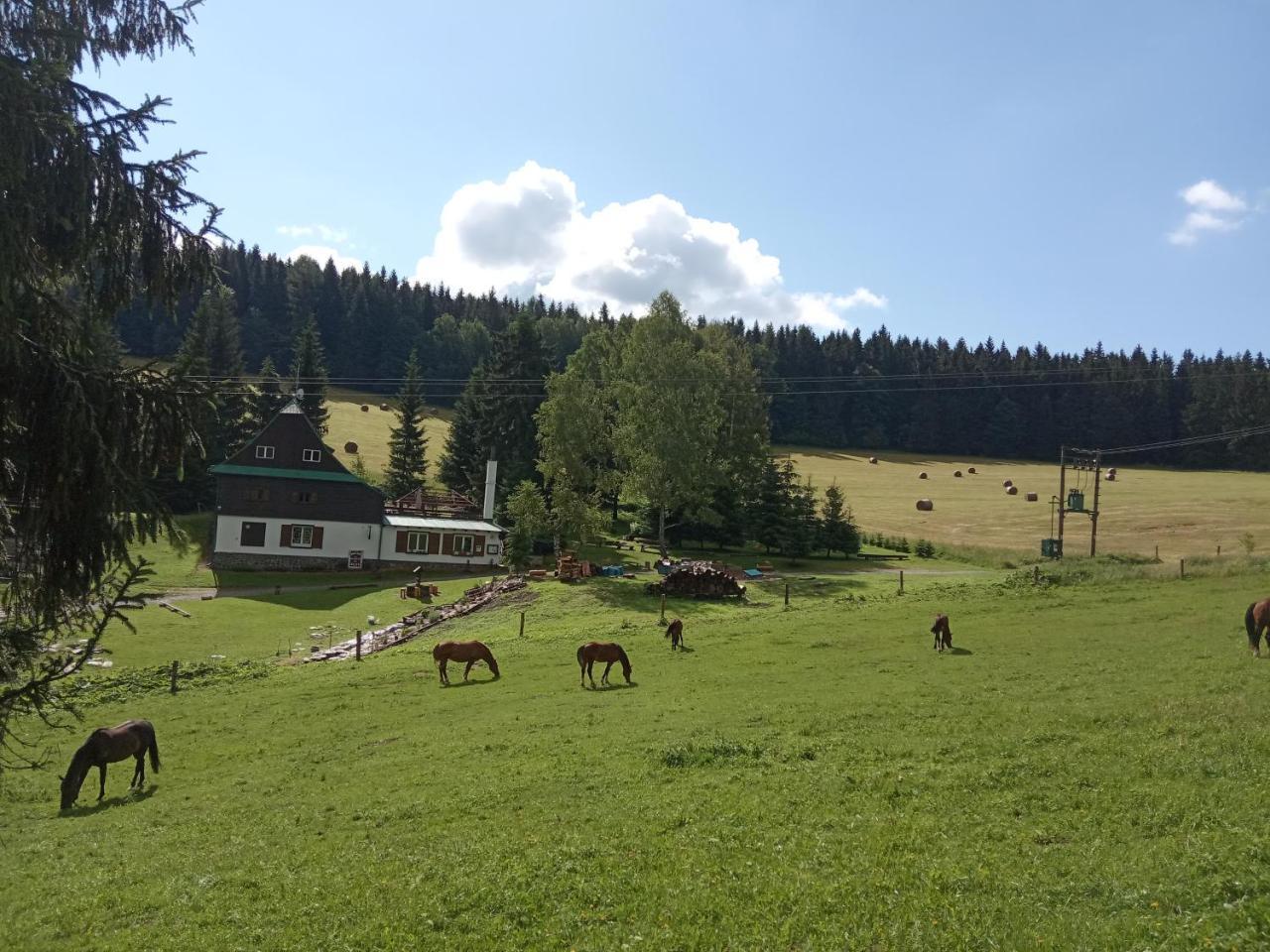 Penzion La Baita — Horni Branna — photo 2