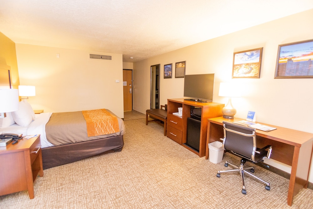 Comfort Inn Salt Lake City Downtown - photo 10