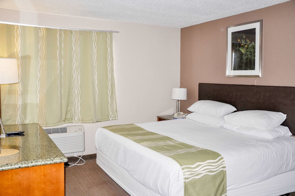 Bison Inn & Suites on University - photo 6